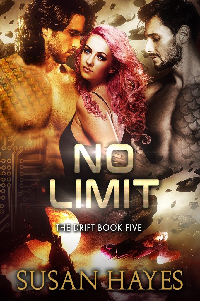 Book Cover: No Limit